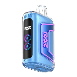 Raz Blueberry Watermelon Flavor TN9000 – Disposable