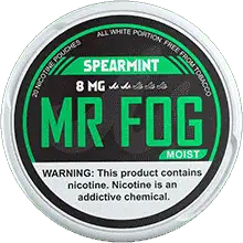 Mr Fog Moist Nicotine Pouches Spearmint