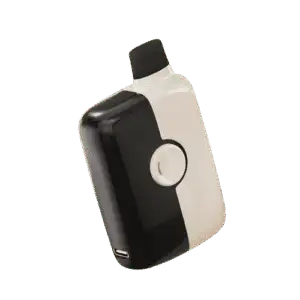 Black Ice Mr Fog Switch 5500 Puffs – Disposable
