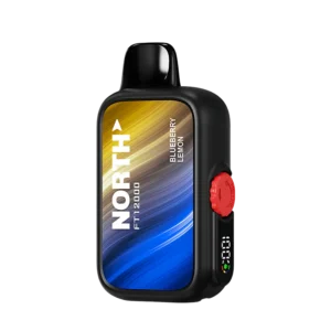 Blueberry Lemon – North FT12000 Puffs