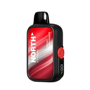 Cherry Pomegrante – North FT12000 Puffs