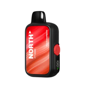 Peach Raspberry – North FT12000 Puffs