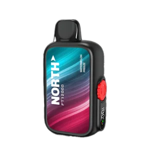 Watermelon Freeze- North FT12000 Puffs