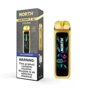 Blue Raspberry – North Vision 15k Disposable Vape