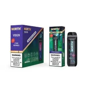Cyan Berries North Vision Halloween Edition- 15K Puffs Disposable