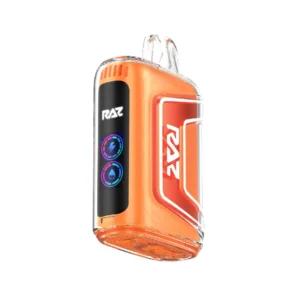Raz Orange Raspberry Flavor TN9000 – Disposable