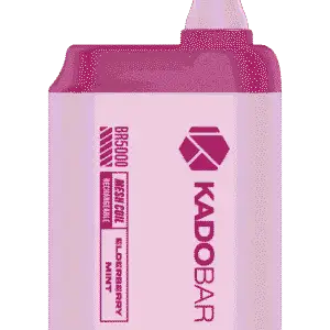 Elderberry Mint Kado Bar BR5000 Puffs Disposable Vape